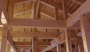 熟練大工職人が自然素材、手刻み木組み創るテレワーク対応健康住宅９，２５